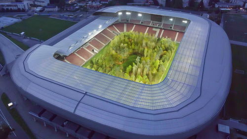 奧地利足球場內驚現綠色森林 裝置藝術背后蘊含深意