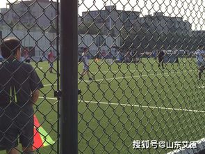 學(xué)校體育場圍網(wǎng)安裝及重要性