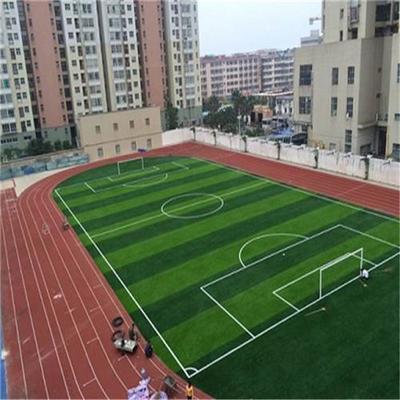 巴中 運(yùn)動場人工草坪 假草 鋪裝