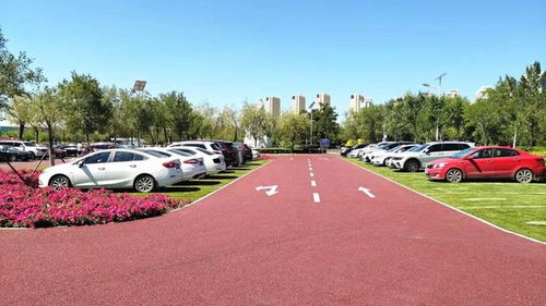 呼和浩特首個(gè) 真草坪上的停車場(chǎng) 對(duì)市民免費(fèi)開放,看看是哪里