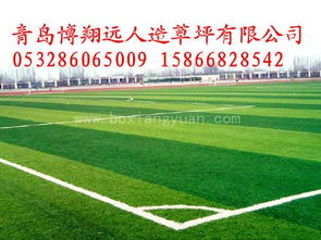 足球場(chǎng)人造草坪鋪裝施工方法 足球場(chǎng)人造草坪價(jià)格 足球場(chǎng)人造草坪廠家
