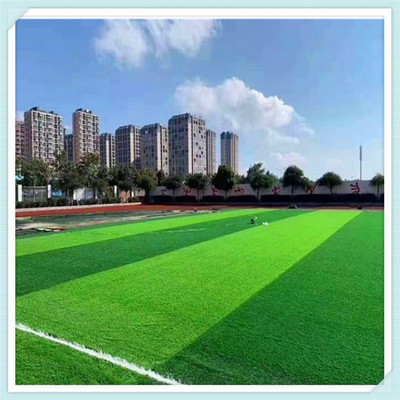 呂梁,學(xué)校運動場人工草皮,免填充足球場仿真草,運動場地人工草坪鋪裝
