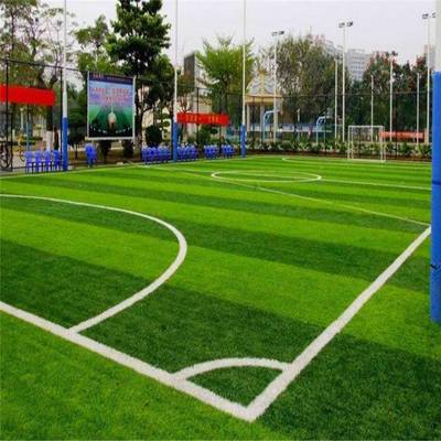 河北籠式足球假草坪 運動草 人造草坪