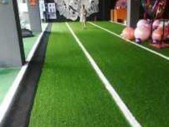 圖 批發(fā)安裝人造草坪學(xué)校足球場草坪幼兒園懸浮地板膠跑道 成都鮮花綠植