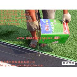 濟(jì)寧人造草坪足球場 奧興塑膠鋪裝 人造草坪足球場廠家