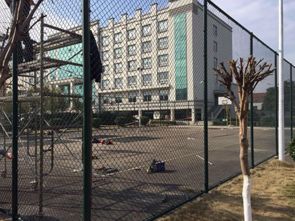 操場護(hù)欄網(wǎng)廠家保障品質(zhì)