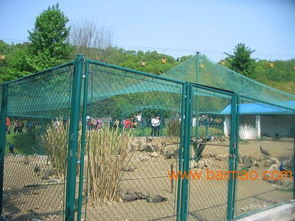 十堰山城公共區圍網,勾花網護欄價格,公共場菱形圍欄,十堰山城公共區圍網,勾花網護欄價格,公共場菱形圍欄生產廠家,十堰山城公共區圍網,勾花網護欄價格,公共場菱形圍欄價格