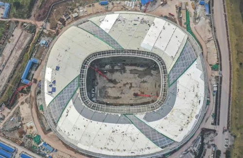 一龍一鳳構筑重慶發展新格局 體育場地鋪裝的創新實踐