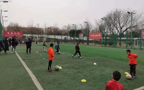 曲江運(yùn)動(dòng)場(chǎng)地指南 優(yōu)質(zhì)體育場(chǎng)地鋪裝推薦