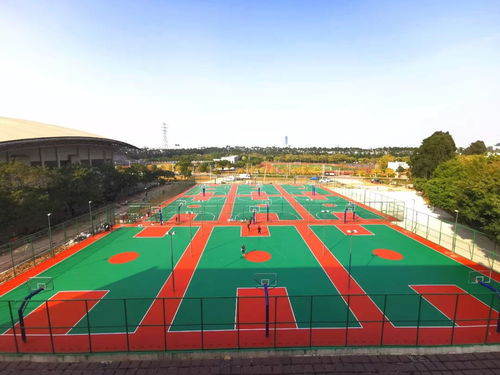 廣州柏奧 勇立潮頭唱大歌，匠心鋪就體育強國夢